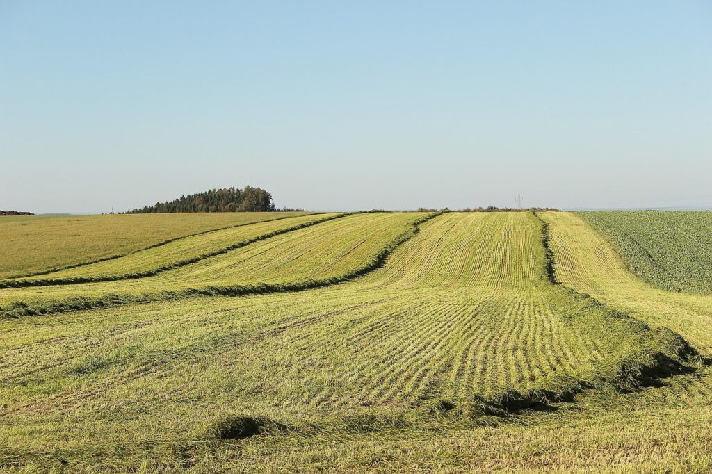 Działka niezabudowana